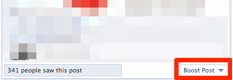 Promote Facebook Posts